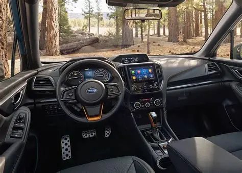 Key Features of the Forester Wilderness