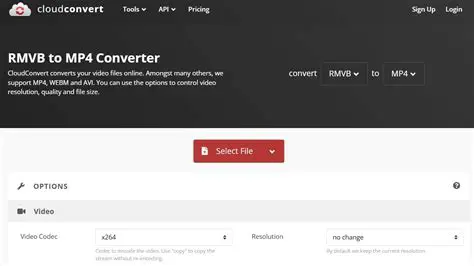 Key Features of the Free RMVB To MP4 Converter