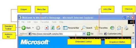 Key Features of the LinkedIn Internet Explorer Toolbar