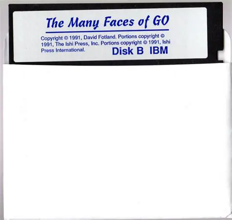 Key Features of The Many Faces of Go
