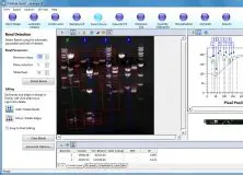 Key Features of the QuantStudio Design Analysis Software