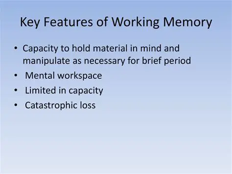 Key Features of Working Timer