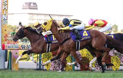 菊花賞 予想オッズ徹底分析！上位人気馬の馬券戦略と穴馬の可能性