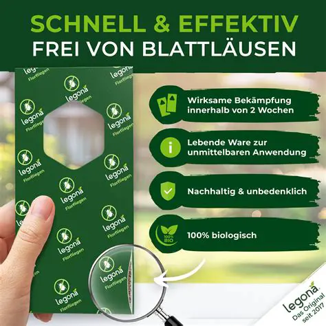Klimaanlagenreinigung: Ein umfassender Leitfaden für saubere Luft und optimale Leistung