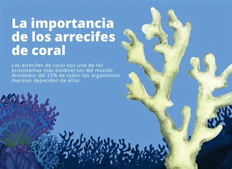 La Importancia de JuanRicardo