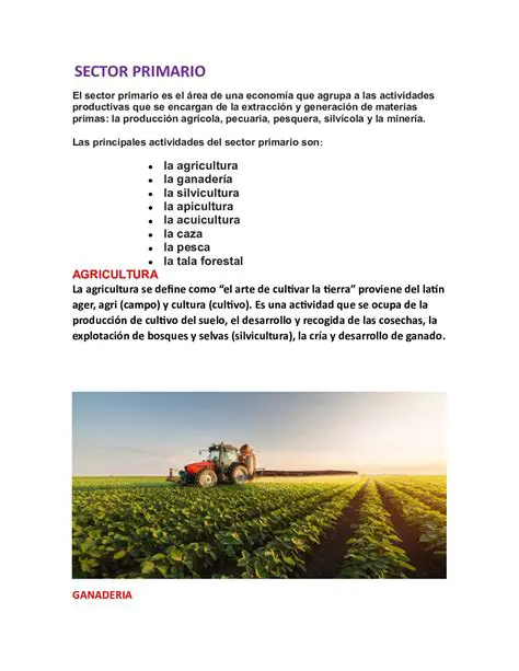 La Importancia de la Agricultura en el Sector Primario