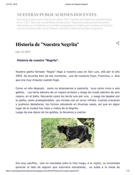 La Importancia de la Historia de Negrita