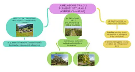 La Relazione tra gli Elementi