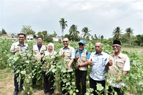 Lembaga Kenaf dan Tembakau Negara Terengganu: Driving Sustainable Agricultural Growth and Farmer Empowerment