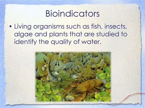 Liken Studies in the Cities of Medan and Deli Serdang as Air Quality Bioindicators
