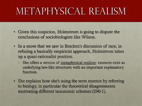 Limitations of Metaphysical Function