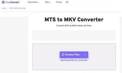 Limitations of MKV Converter