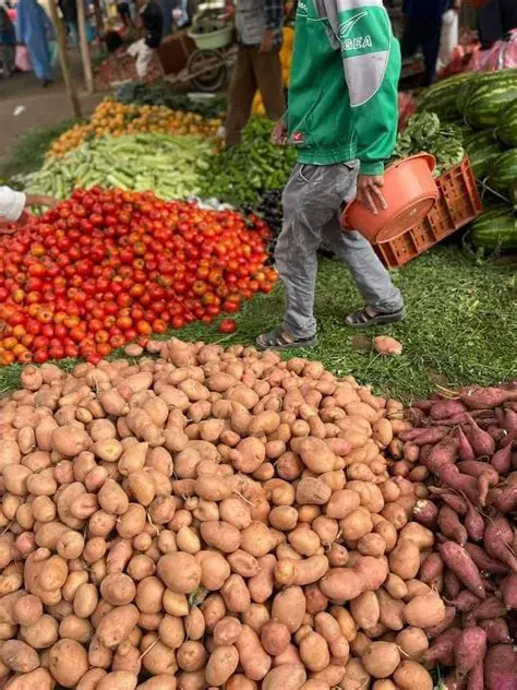 مباريات اليوم: دليلك الشامل لمتابعة أحدث النتائج والتحديثات