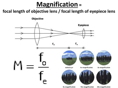 Magnification and Selection