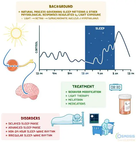 Mechanisms of Sleep Stroke