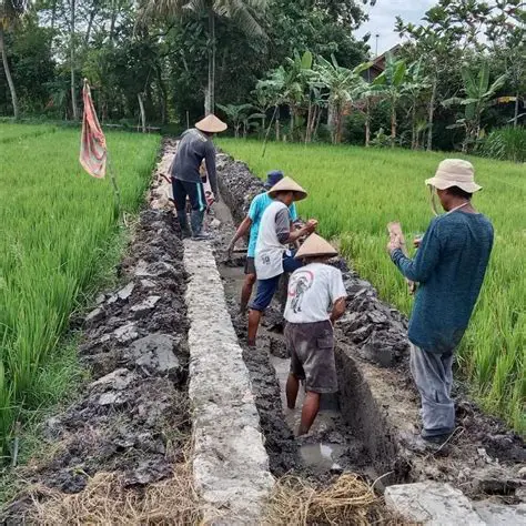 mengembangkan sistem irigasi
