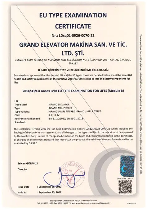 Missing assembly qualification