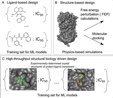 Molecular Structure of HSC