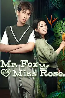 Mr. Fox and Miss Rose Movie Recaps: A Mizo Perspective