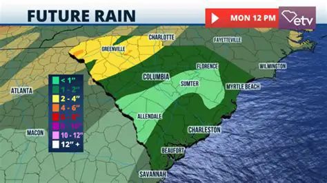 Navigating South Carolina: Your Essential Guide to SC News & Weather Updates