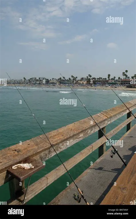 Newport Beach Fishing: A Comprehensive Guide to Angling Adventures