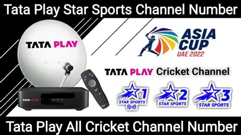 Finding Your Favorite News: What Channel is News 24 on Tata Sky?