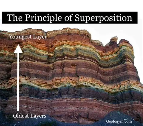 Not considering the principle of superposition