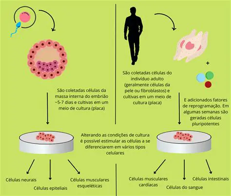 O papel dos ventos no aquecimento diferencial