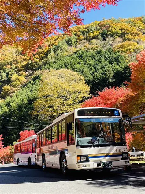 沖縄の天気：最新情報と旅行計画への影響（2024年）