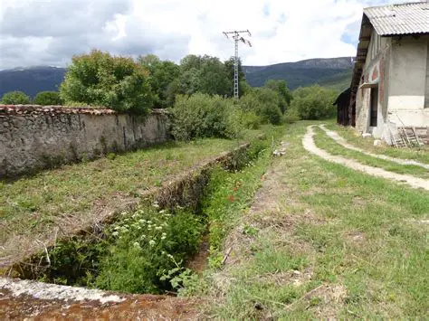 Navigating OSCPSEI, Theses, and Lima Land Transfers: Breaking Down the Latest News