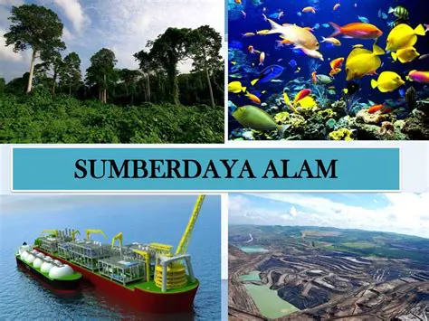 Pengertian Pengelompokan Sumber Daya Alam