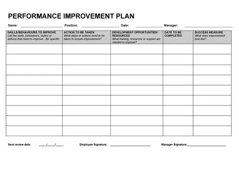 Performance Improvement Plan