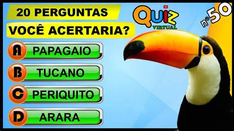 Perguntas e Respostas sobre o Algarismo Tem