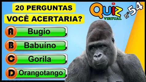 Perguntas e Respostas sobre o Dia Mundial do Graffiti