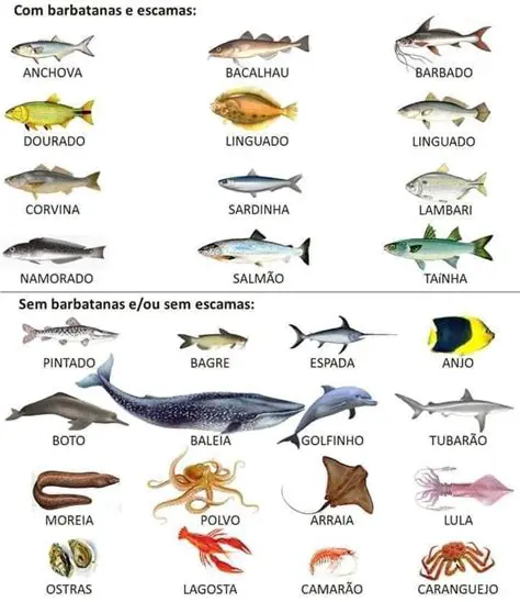 Perguntas e Respostas sobre Peixes com Escamas e Barbatanas