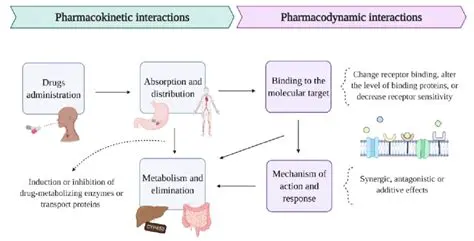 Pharmacokinetic Interactions
