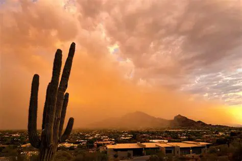 Phoenix Weather: Your Ultimate Guide to Understanding the Desert Climate