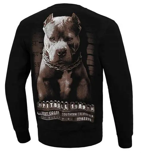 Pitbull Bilety: Wszystko, Co Musisz Wiedzieć o Podróżowaniu z Psem Tej Rasy