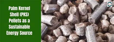 PKS PT SPC: Pioneering Sustainable Biomass Solutions with Palm Kernel Shells