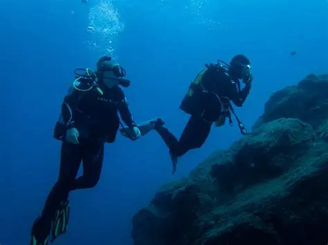 Plan a Single Dive or Series of Dives