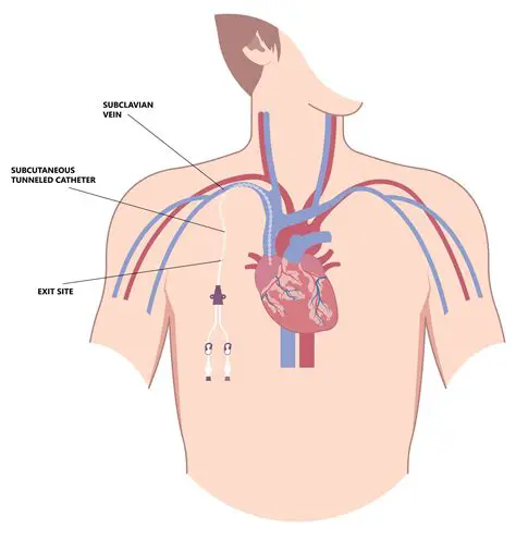 Possible Causes of Jaw Pain in a Patient with a Central Line Catheter