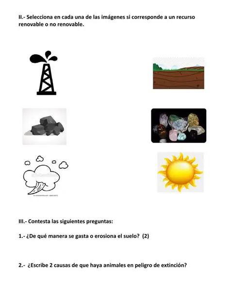 Preguntas sobre Recursos Adicionales