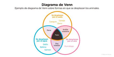 Preguntas y Respuestas sobre Diagramas de Venn y Llaves