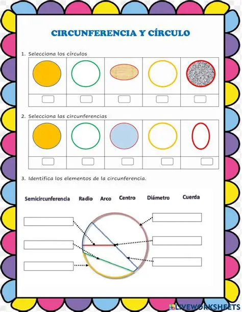 Preguntas y Respuestas sobre la Circunferencia de un Cuadrado