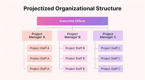 Project Structure and the Issue