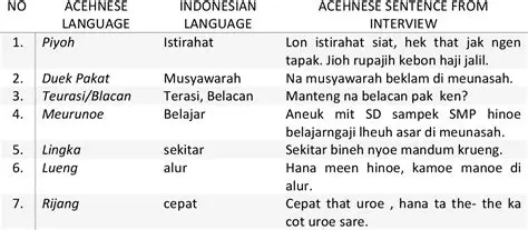Promotion of Acehnese Language