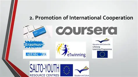 Promotion of International Cooperation