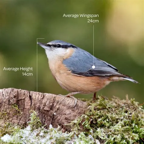 Understanding and Utilizing the PSE46545XKNK0S0SE Identifier: A Comprehensive Guide