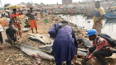 Pseidanburyse News Today: Uncovering the Latest Developments and Local Insights