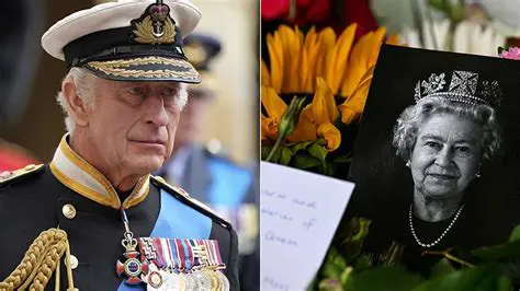 PSV Eindhoven: A Deep Dive into the Pride of the Netherlands